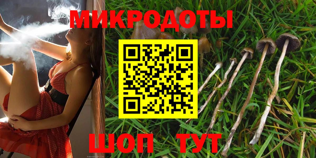 Псилоцибиновые грибы Magic Shrooms Ивантеевка