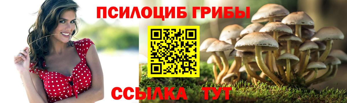 Псилоцибиновые грибы Psilocybe  Вход с VPN  Ивантеевка  Галлюциногенные грибы мицелий 