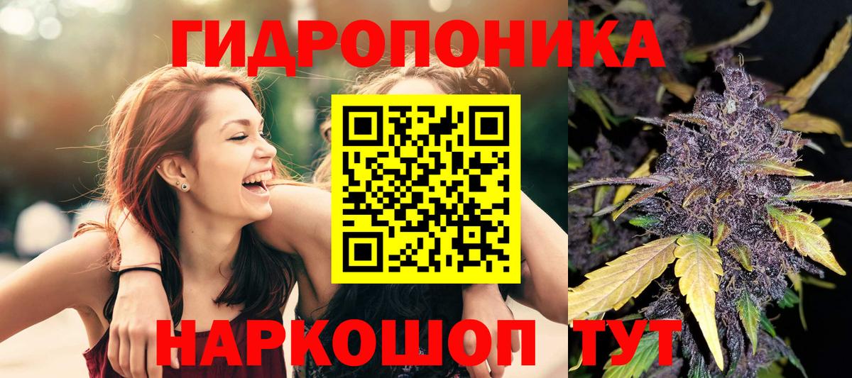 Меф Ивантеевка